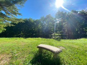 Pine Grove Campground and Cottages in Medway