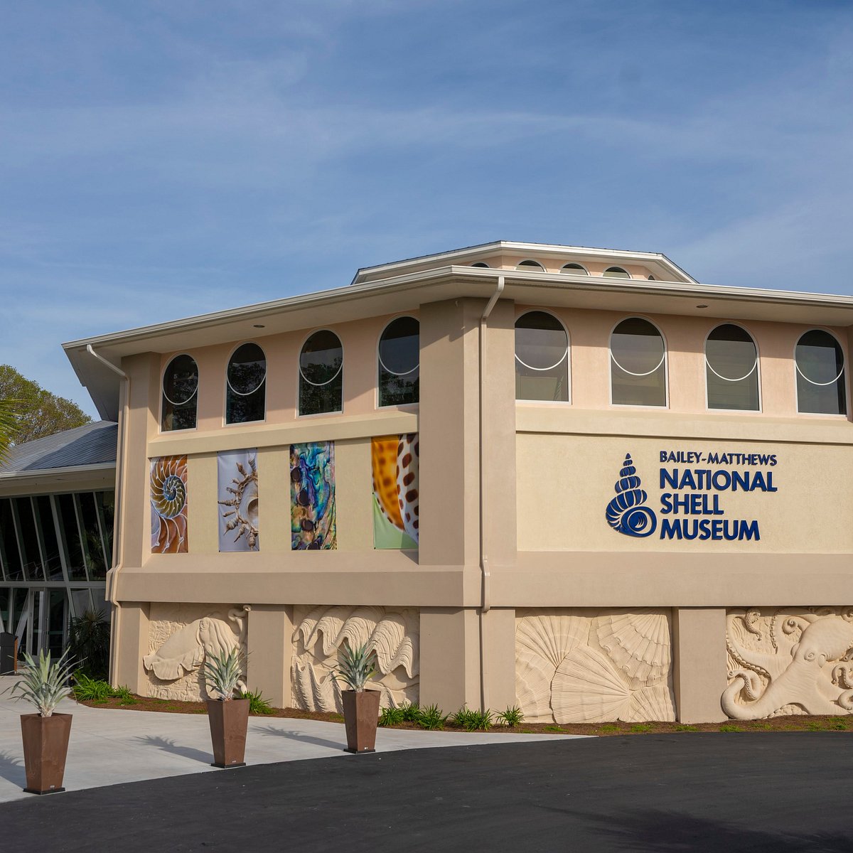 The Bailey-Matthews National Shell Museum (Sanibel Island) - All You Need to Know BEFORE You Go
