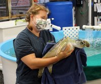 Georgia Sea Turtle Center (Jekyll Island) - All You Need to Know BEFORE ...