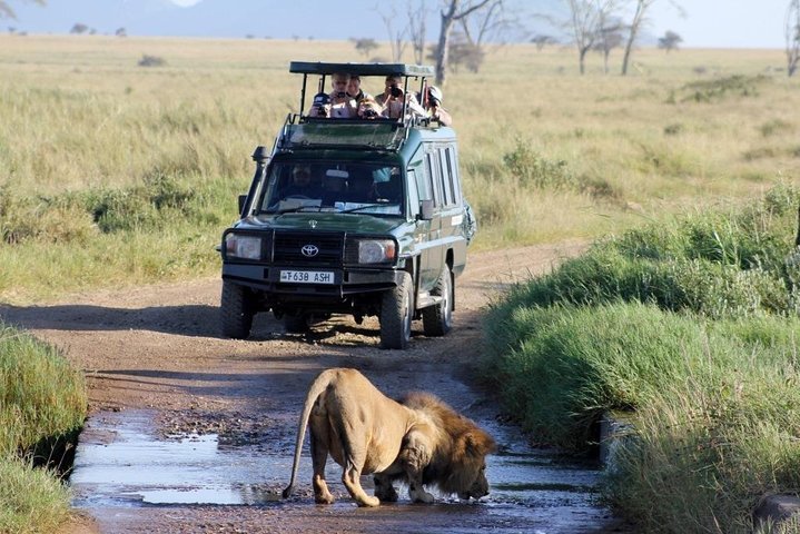 2024 3-Day Masai Mara Luxury Safari on 4x4 Land Cruiser