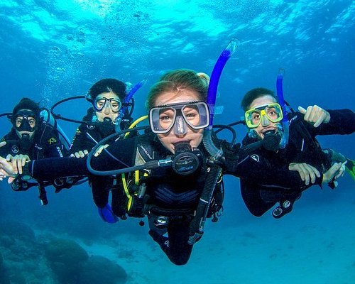 scuba diving tours port douglas