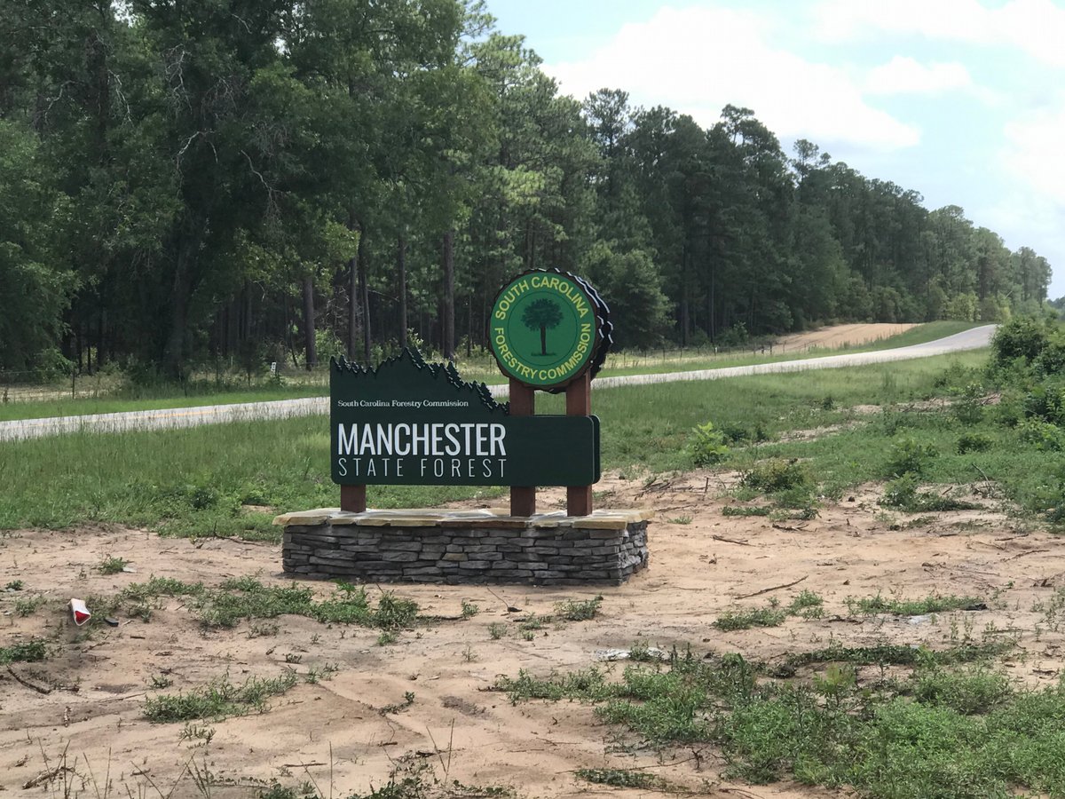 Manchester State Forest - All You Need to Know BEFORE You Go (with Photos)