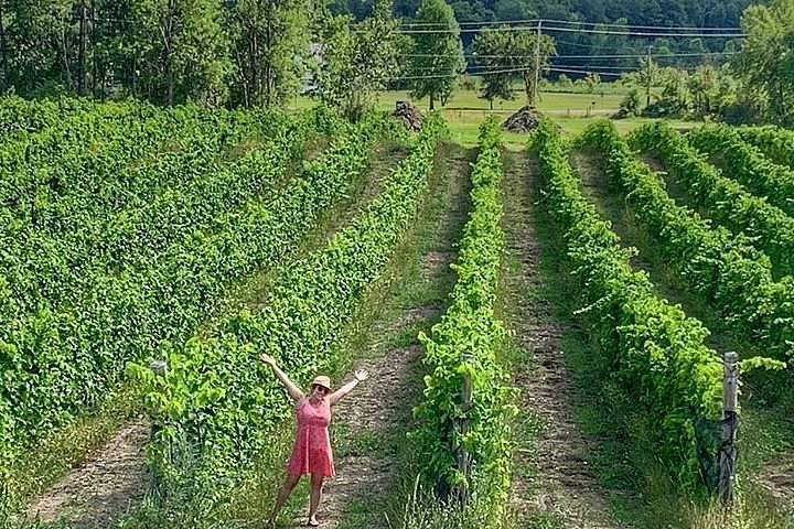 wine tours ottawa