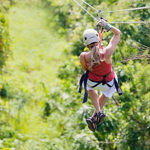 canopy tour meaning