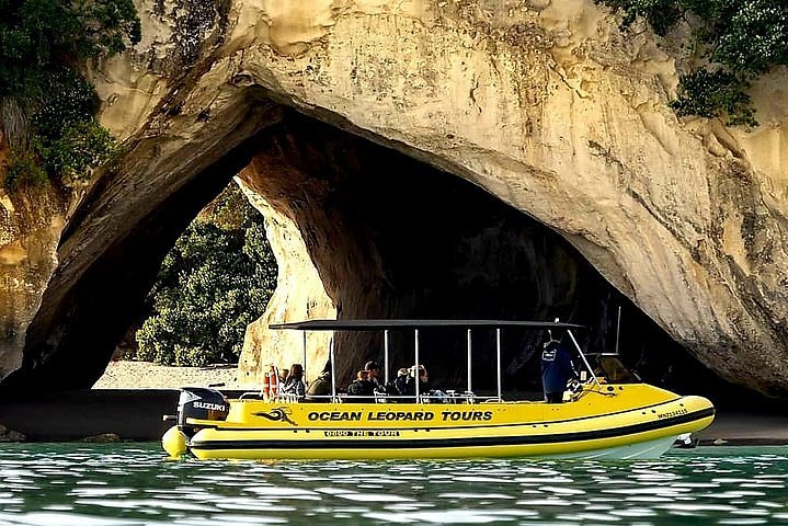 ocean leopard tours cathedral cove boat tour whitianga