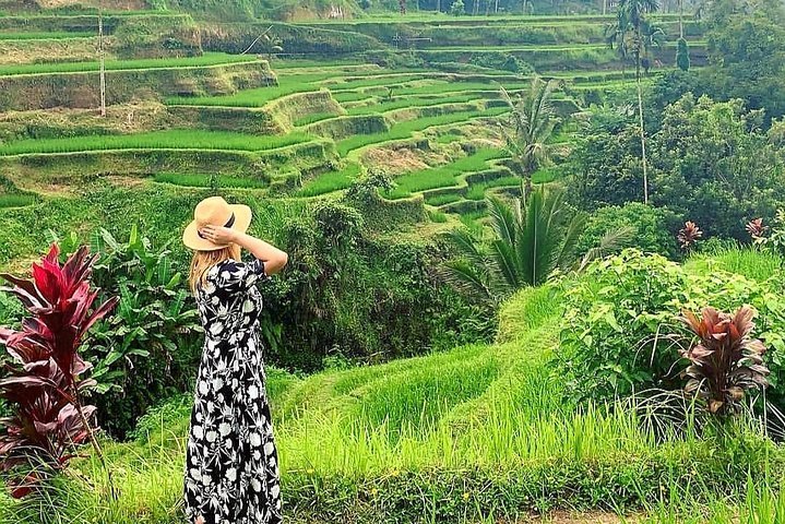 2024 Ubud Tour - Ubud Highlight - Private Tour All inclusive