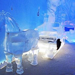 Sentir frio é muito bom! - Avaliações de viajantes - Dreams Ice Bar -  Tripadvisor