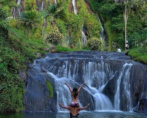 Armenia, Quindio Botanical Garden and Coffee Farm Private Tour 2023