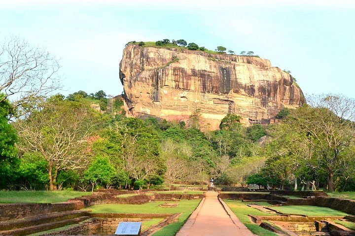 2024 (Colombo) Sigiriya Rock, Dambulla Cave Temple and Minneriya Safari