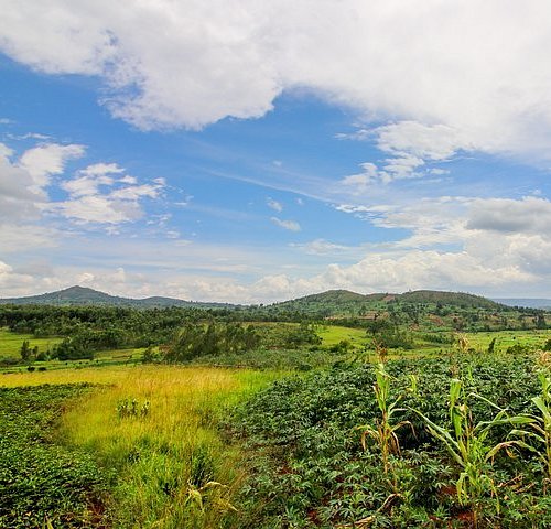 THE 15 BEST Things to Do in Burundi - 2022 (with Photos) - Tripadvisor