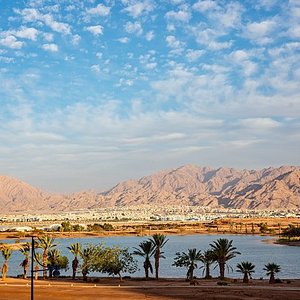 Persuasion Jeg er stolt Telemacos THE 15 BEST Things to Do in Aqaba - 2022 (with Photos) - Tripadvisor