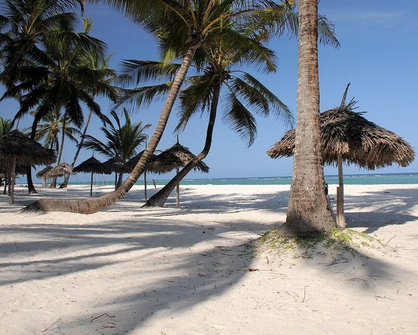 THE 10 BEST Things to Do in Mombasa - 2024 (with Photos) - Tripadvisor