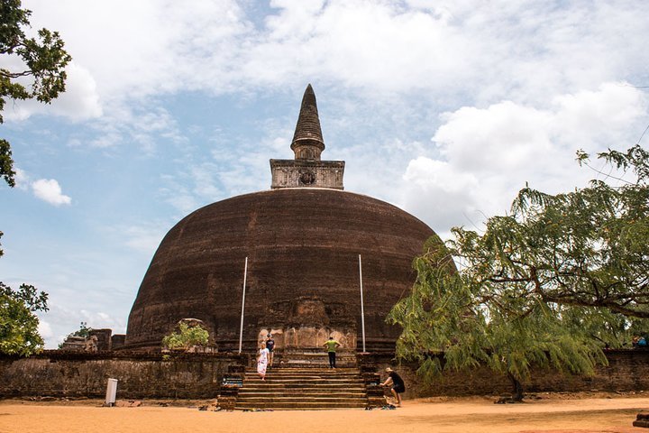 2024 Day Trip to Polonnaruwa and Kaudulla National Park (Colombo)