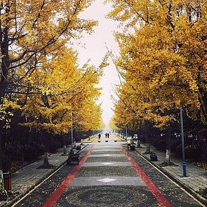 What's Happening in Chengdu? [Autumn] - Chengdu Expat