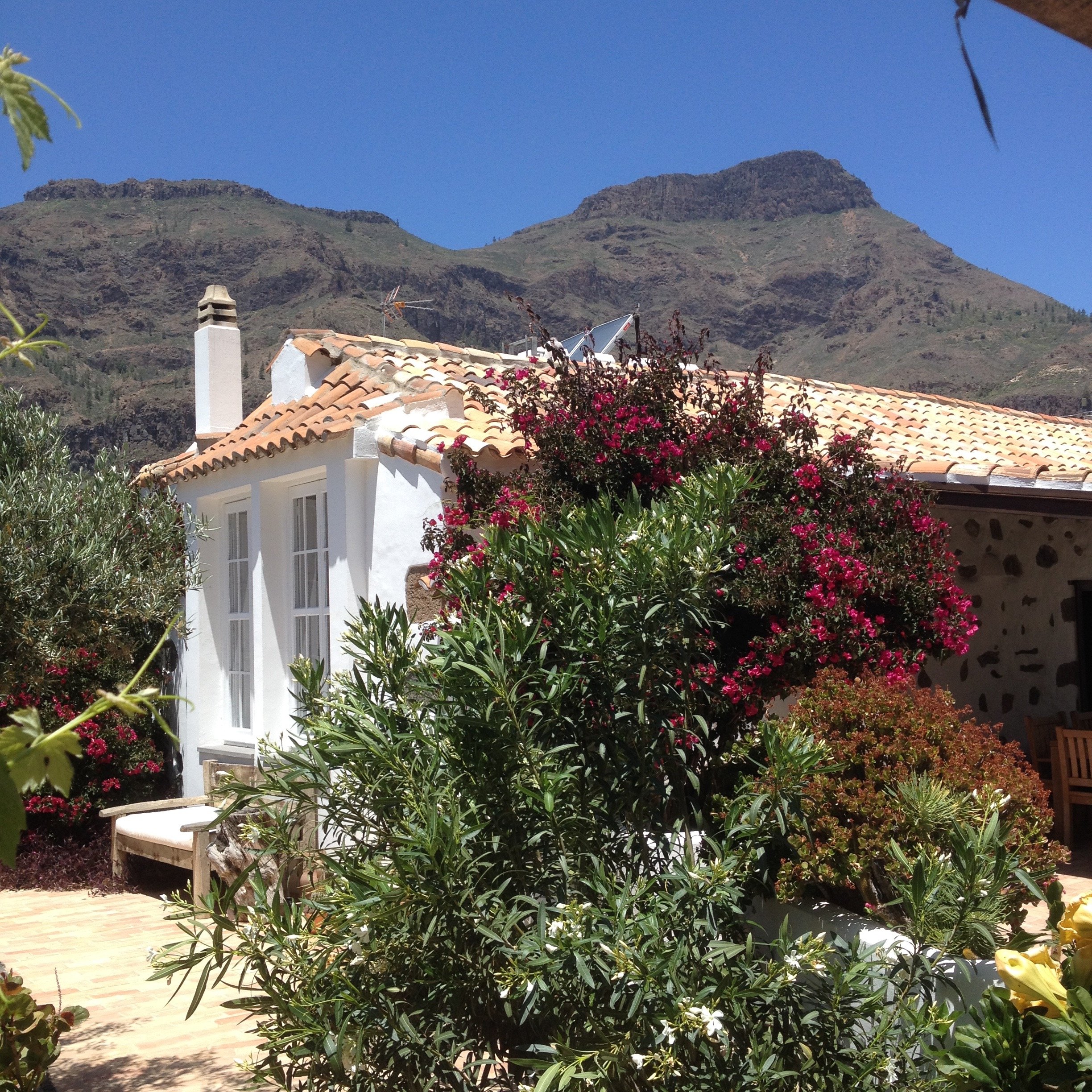 CASA RURAL PALOMAR - Prices & B&B Reviews (Fataga, Gran Canaria)