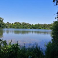 SEVENOAKS WILDLIFE RESERVE - All You Need to Know BEFORE You Go