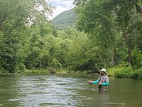 Asheville, NC Guided Fly Fishing & Instruction - Brookside Guides