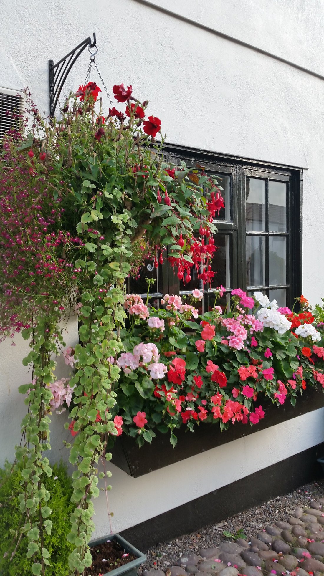 RED LION LITTLE BUDWORTH - UPDATED 2022 B&B Reviews & Price Comparison