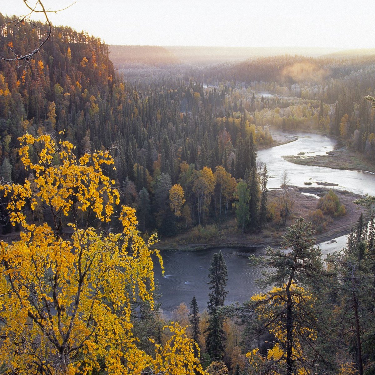 Ruka Ski Resort, Куусамо: лучшие советы перед посещением - Tripadvisor