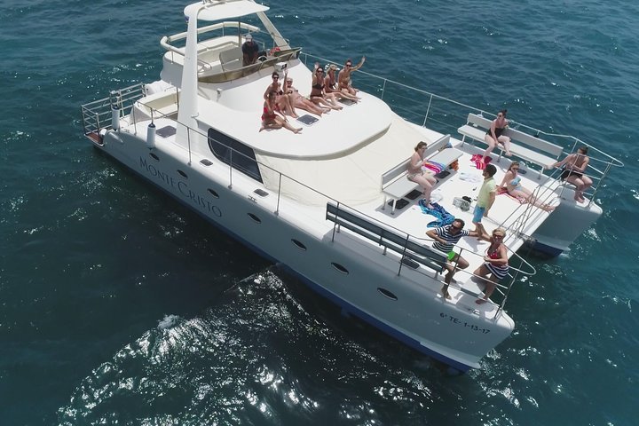 (Costa Adeje) Croisière D'observation Des Baleines Et Des Dauphins En ...