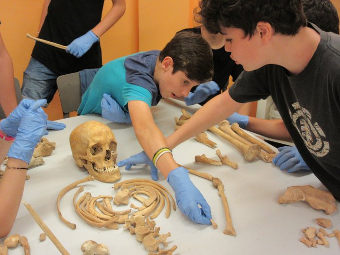 Imagen 2 de Museu Arqueològic de Catalunya