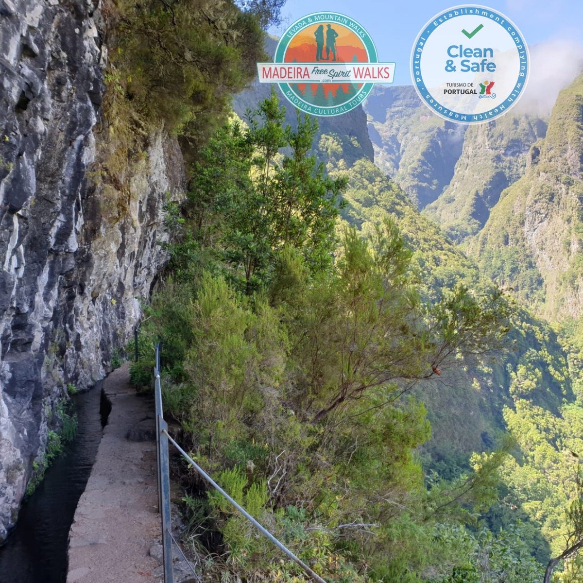 Madeira Free Spirit walks, Фуншал: лучшие советы перед посещением -  Tripadvisor