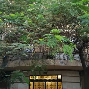 Essa é a fachada do prédio pra ajudar as pessoas a encontrarem ele. This is the facade of the building to help people find it.