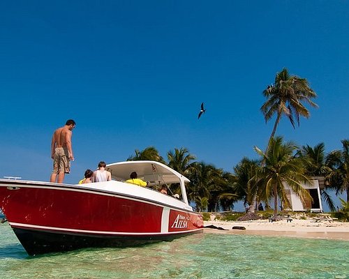 tours to belize from us