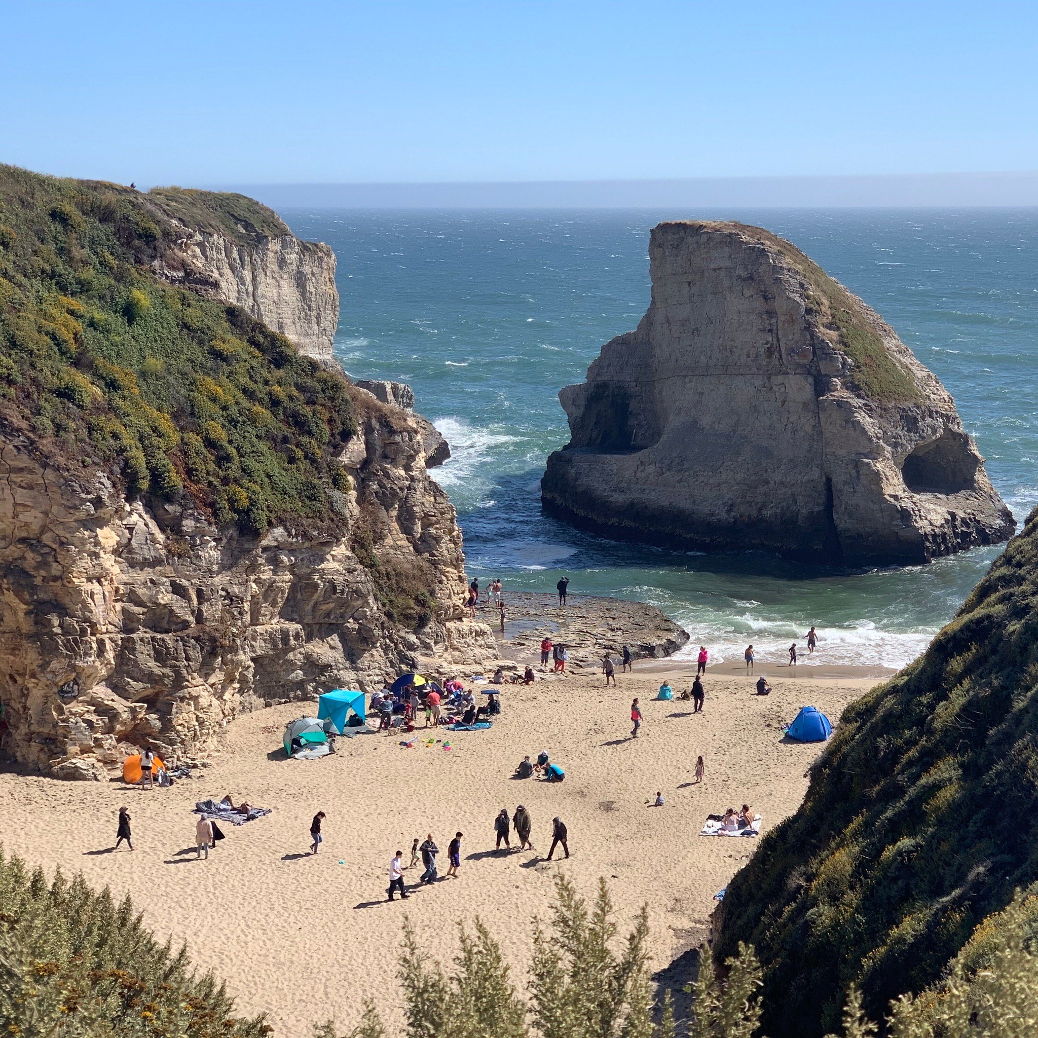 Shark Fin Cove All You Must Know BEFORE You Go with Photos