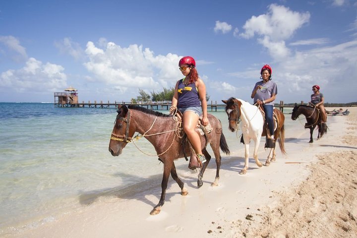 Roatan Half-Day Combo Horseback Riding with Zip Line Monkey & Sloths ...