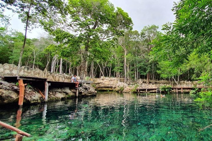 2024 Tour 4 Cenotes + Zipline (Optional). Includes Pick up service