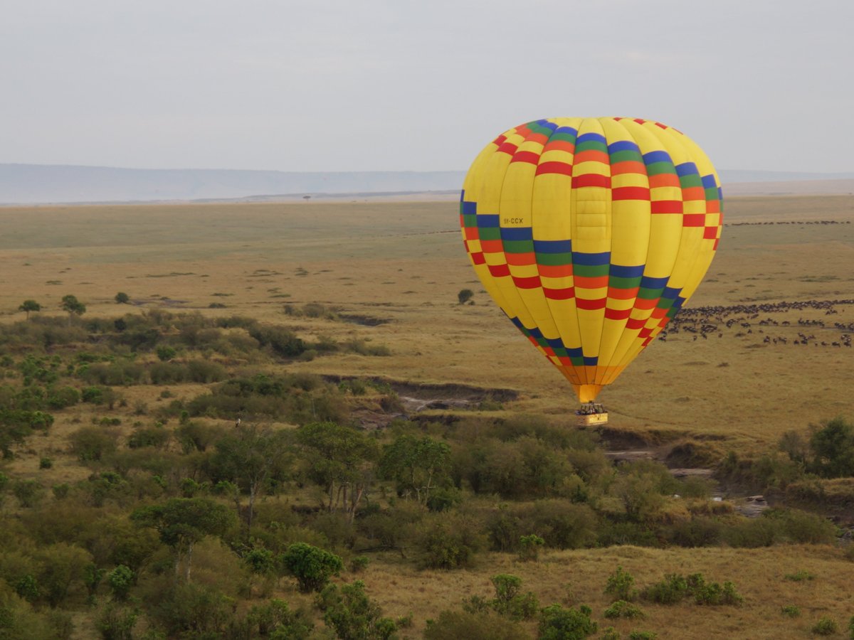 Adventures Aloft Balloon Safari - All You Need to Know BEFORE You Go (2024)