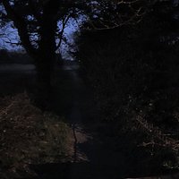 Viewed at night.