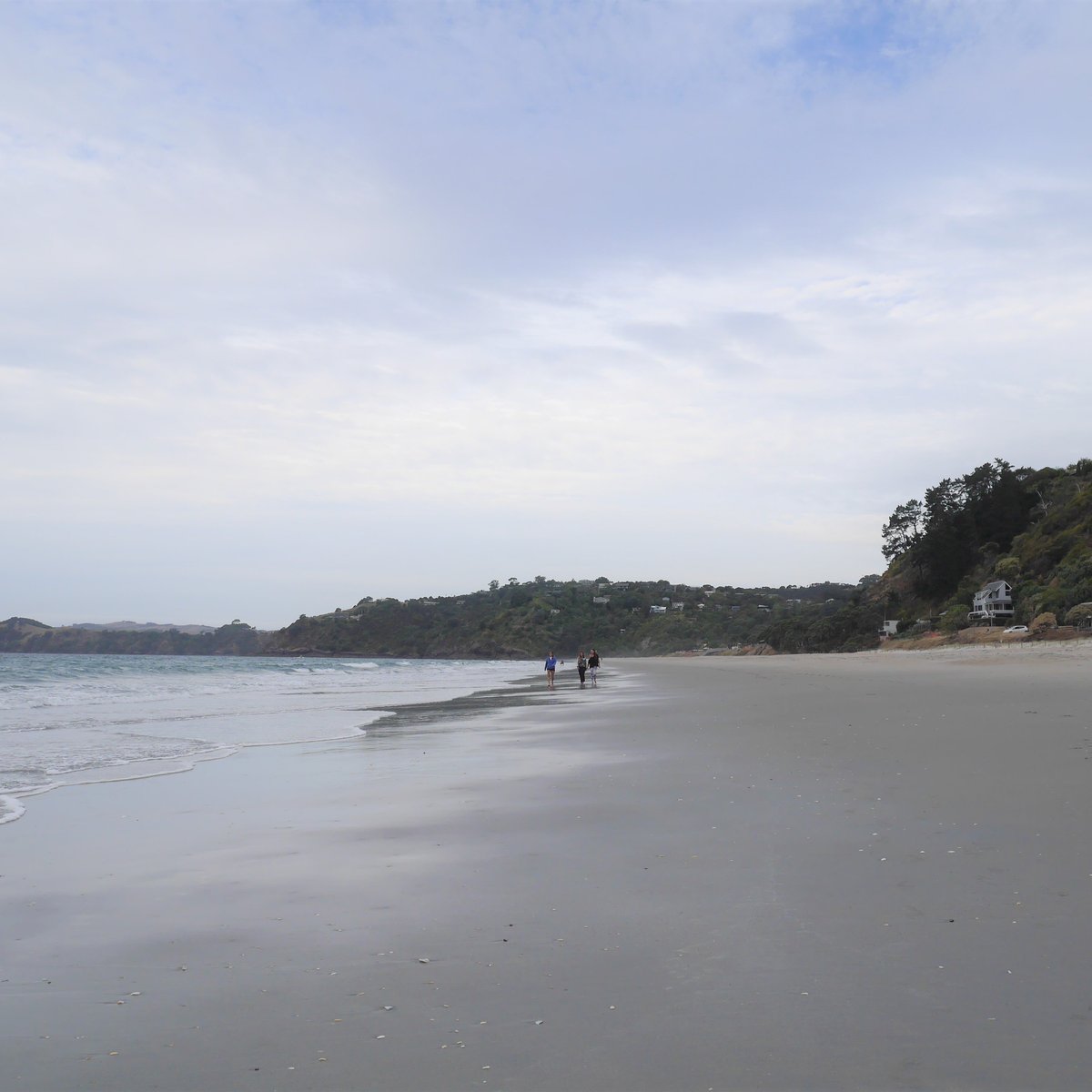 Onetangi Beach (Waiheke Island): All You Need to Know