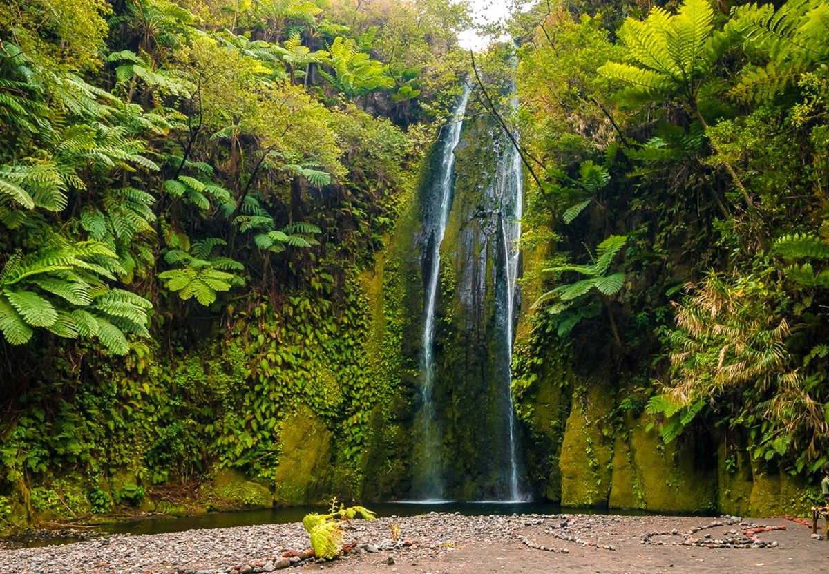 THE 15 BEST Things to Do in Tanna Island 2022 (with Photos) Tripadvisor