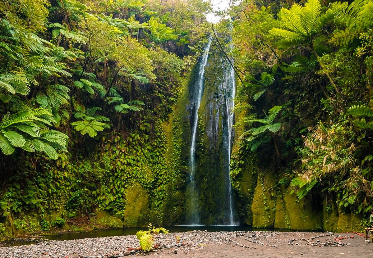 THE 15 BEST Things to Do in Tanna Island 2022 (with Photos) Tripadvisor THE 15 BEST Things to Do in Tanna Island 2022 (with Photos) Tripadvisor