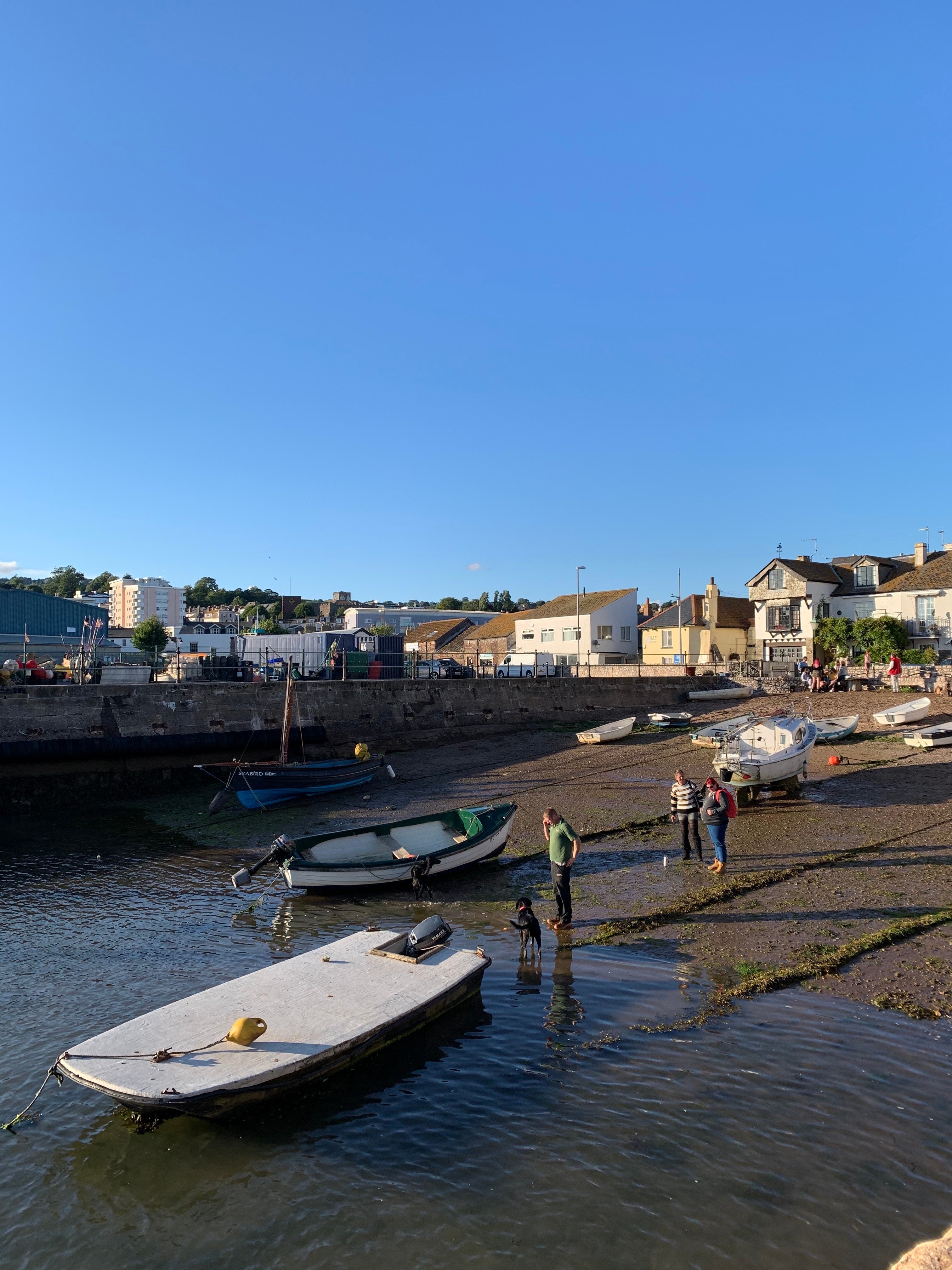 THE 10 BEST Things To Do In Teignmouth 2022 With Photos   Photo From New Quay Looking 