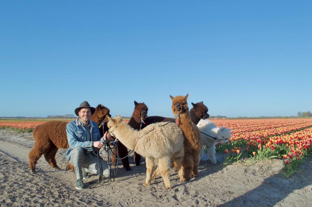 Alpaca Eco Farm Egmond aan den Hoef Nederland Anmeldelser