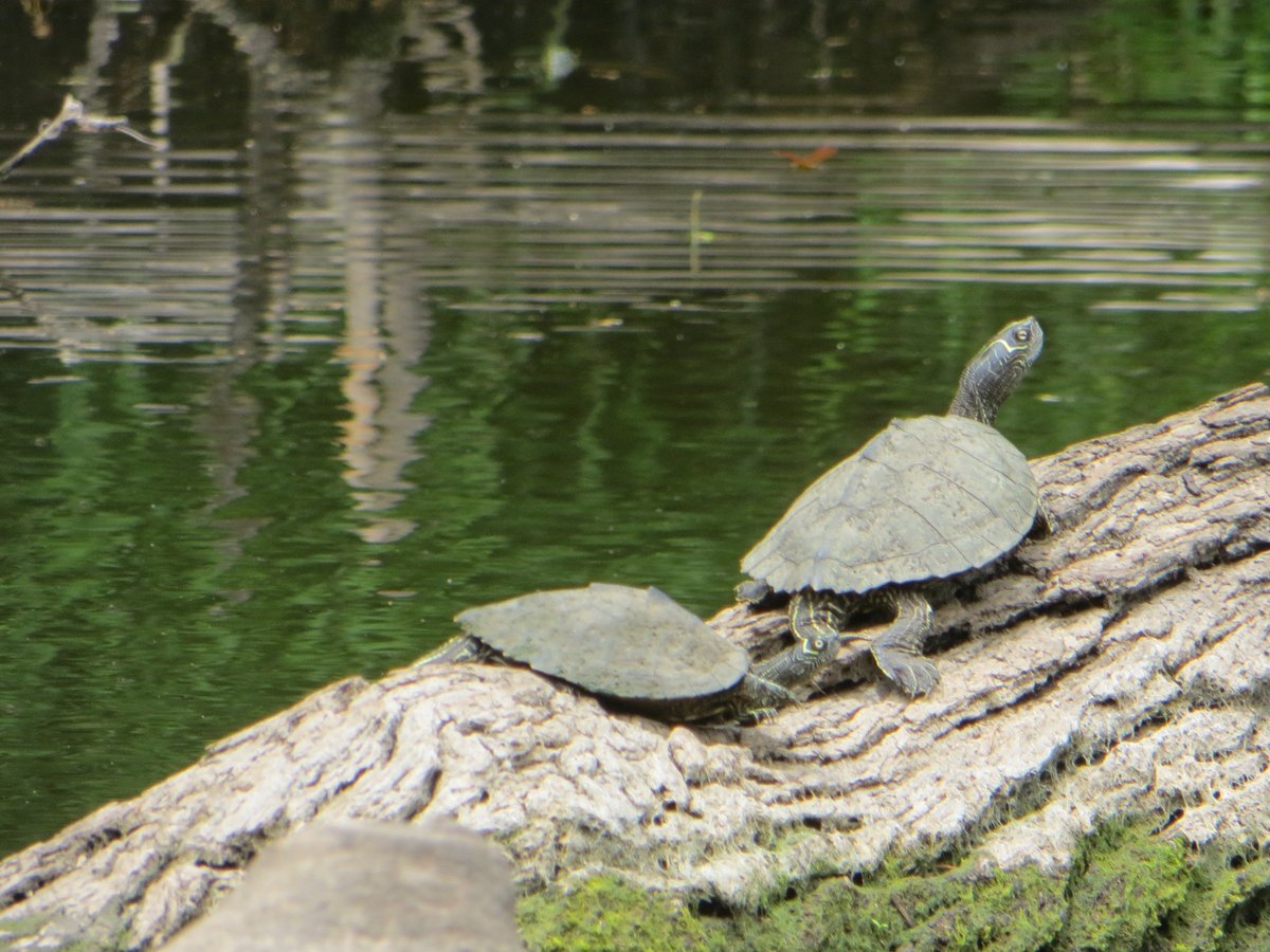 Limestone Bluffs Paddling Trail - All You Need to Know BEFORE You Go (2024)