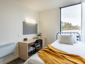 Room & Suite
