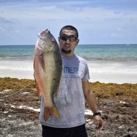 spear fishing tulum