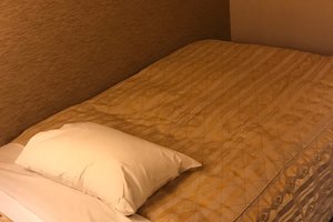 旅行者の写真