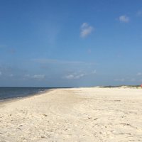 Saint George Island State Park (St. George Island) - All You Need to ...