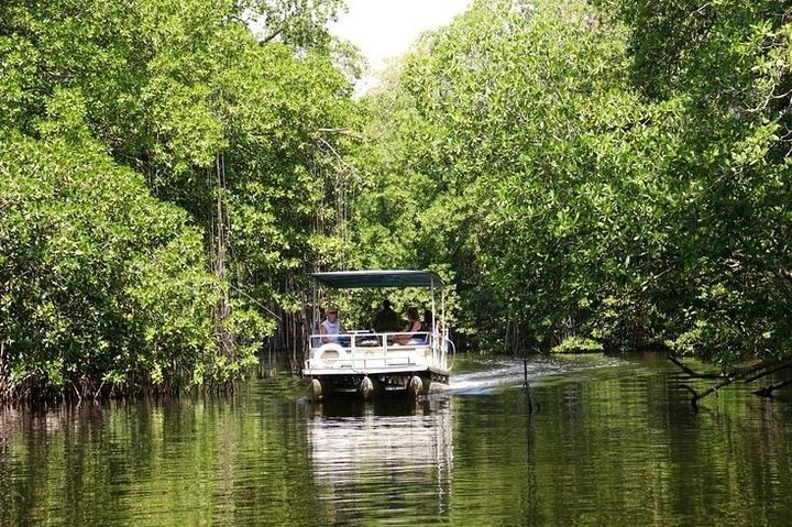 2024 (Montego Bay) Black River Safari plus YS Falls Private Tour