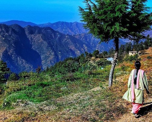 culture tourism in shimla