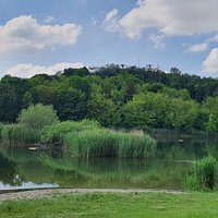 Park Szczęśliwicki