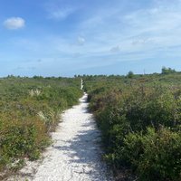 Jonathan Dickinson State Park (Hobe Sound) - All You Need to Know ...