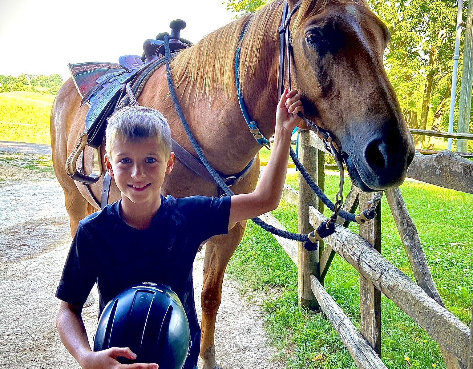 amish country riding stables tours