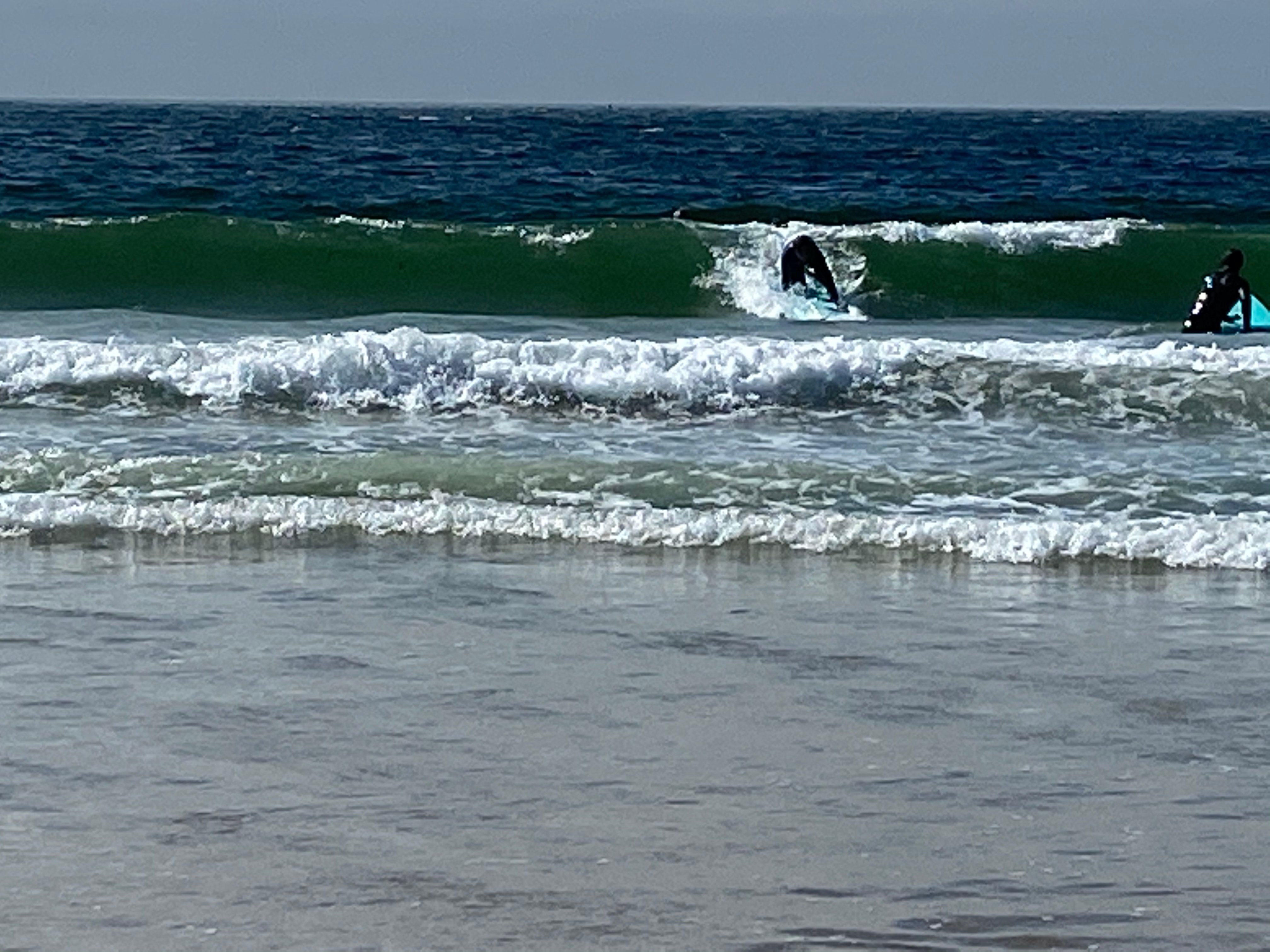 south bay surf