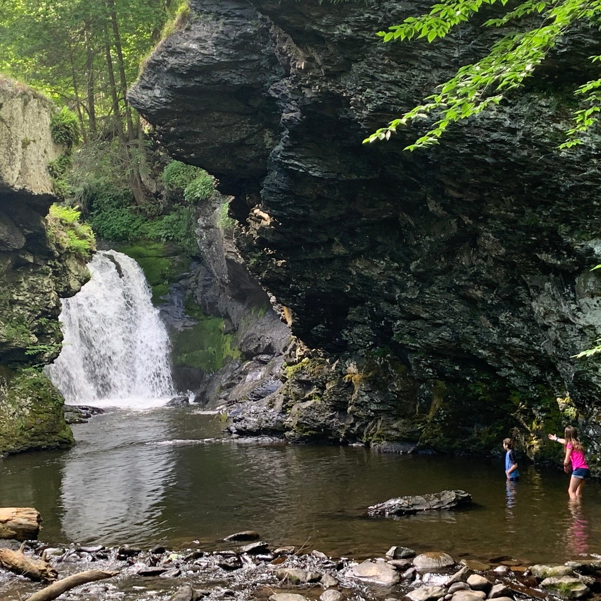 Marshalls Falls Marshalls Creek 2022 Qué Saber Antes De Ir Lo Más Comentado Por La Gente 6269